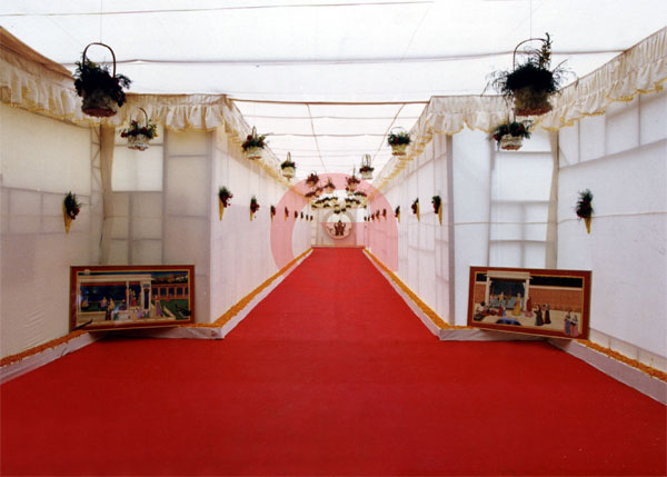 Portfolio Image