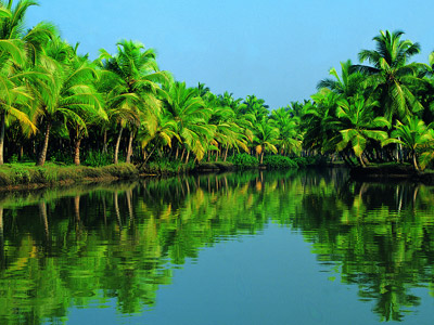 Portfolio Image