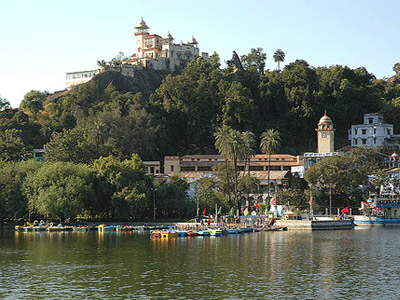 Portfolio Image