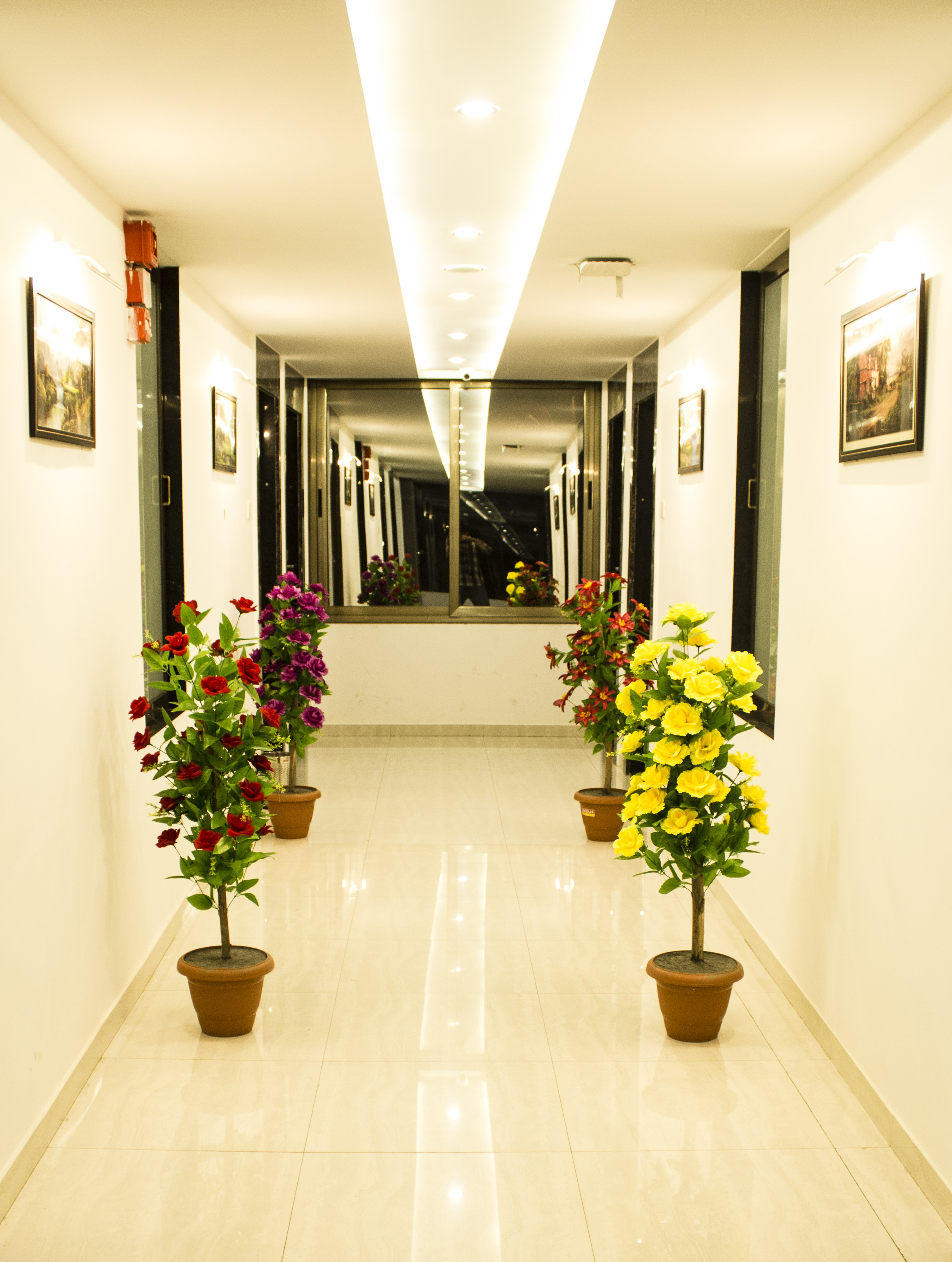 Portfolio Image