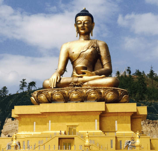 Portfolio Image
