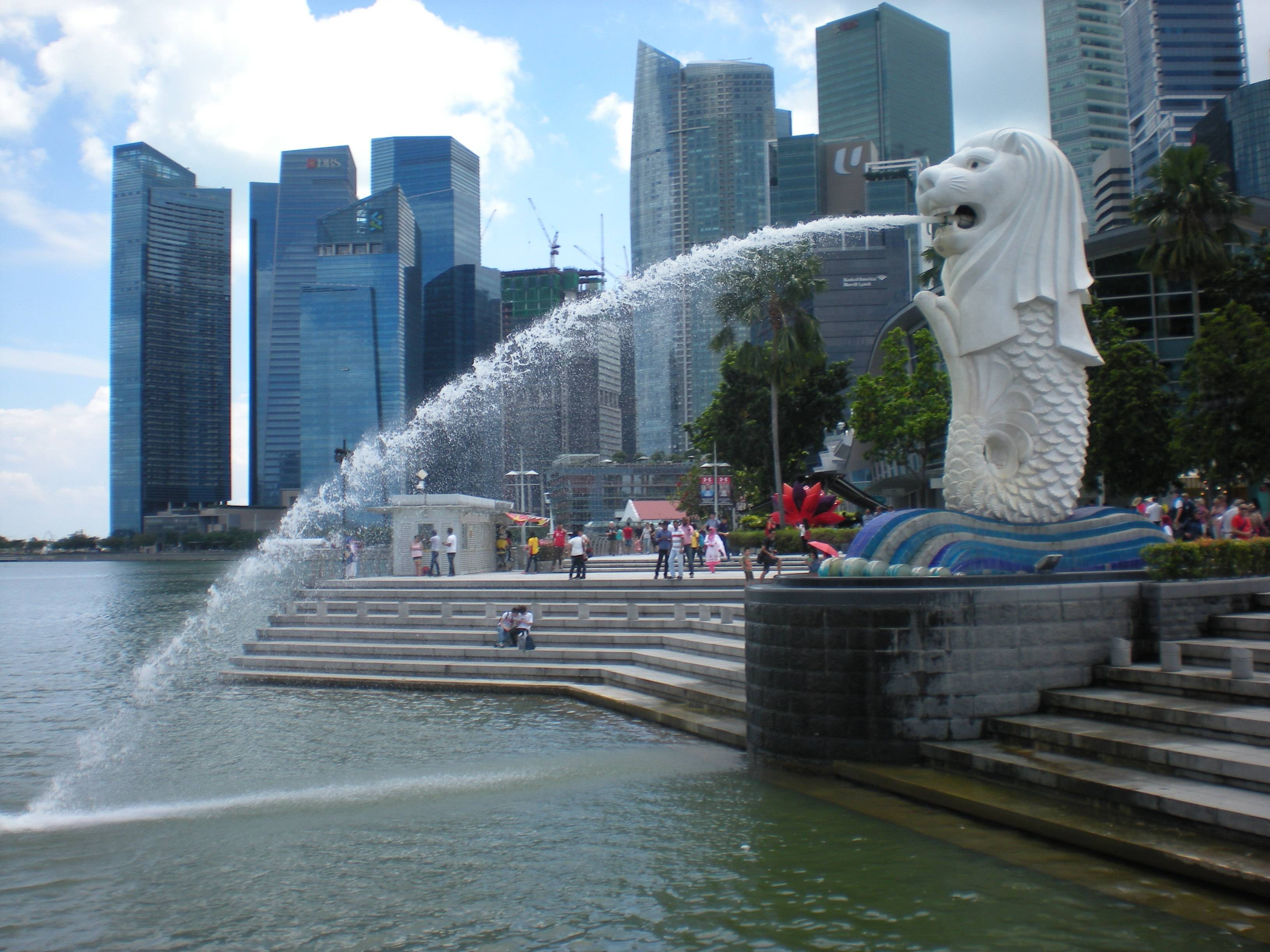 Portfolio Image