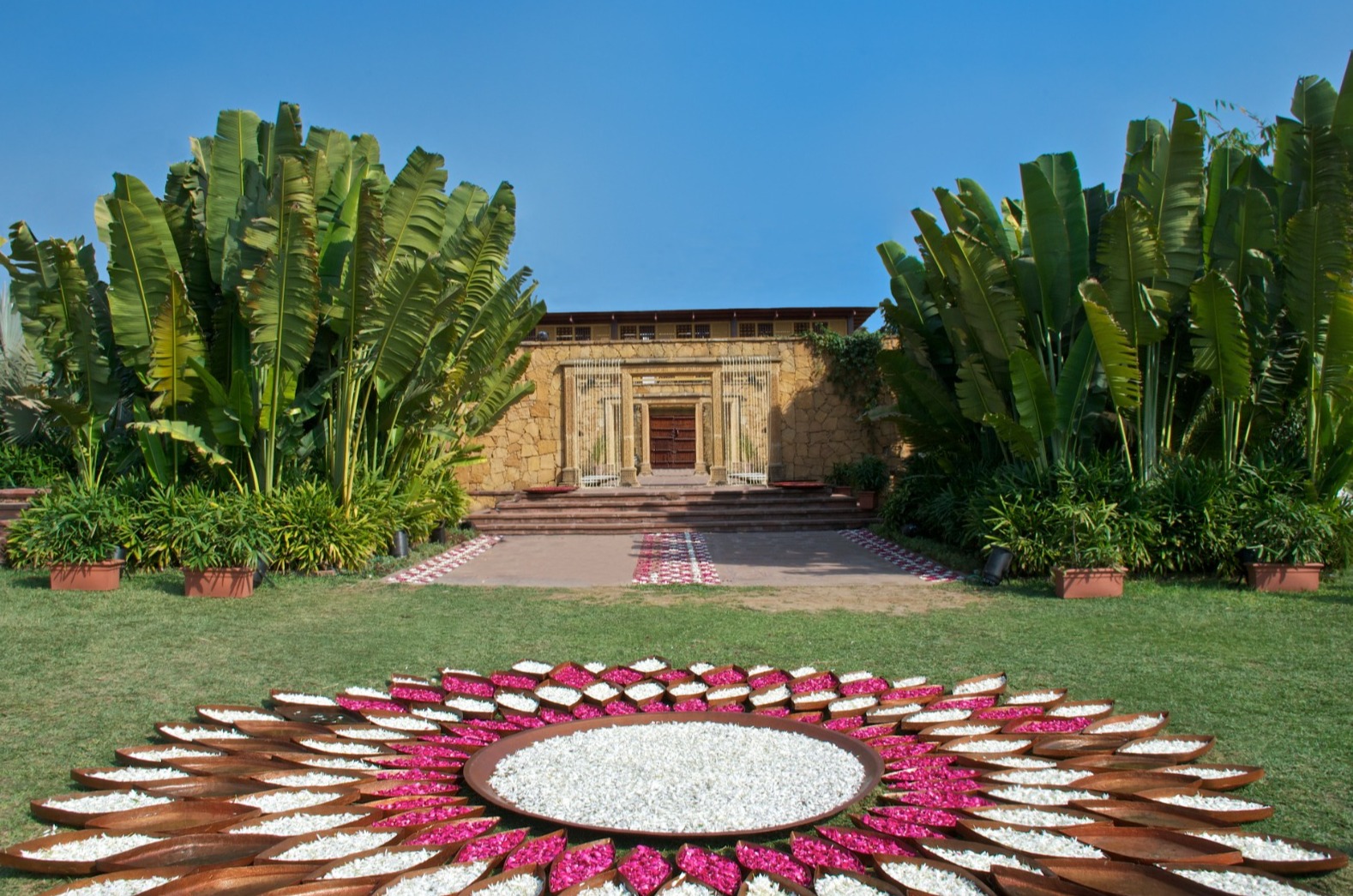 Portfolio Image